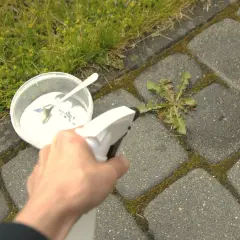Ręka trzymająca spryskiwacz z roztworem octu i soli na chwasty rosnące między płytkami chodnikowymi.