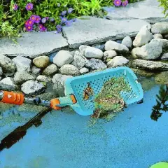 Siatka do czyszczenia oczka wodnego wyławia żabę i liście.