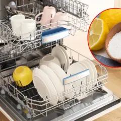 Jak wyczyścić zmywarkę? Cytryna i soda oczyszczona to naturalne sposoby na świeżość i czystość.