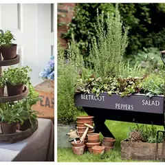 Piękny zielnik w ogrodzie: zioła w doniczkach na stojaku i w skrzyni z napisem "Beetroot Peppers Salad".