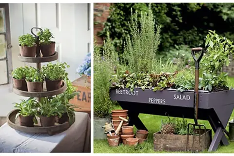 Piękny zielnik w ogrodzie: zioła w doniczkach na stojaku i w skrzyni z napisem "Beetroot Peppers Salad".