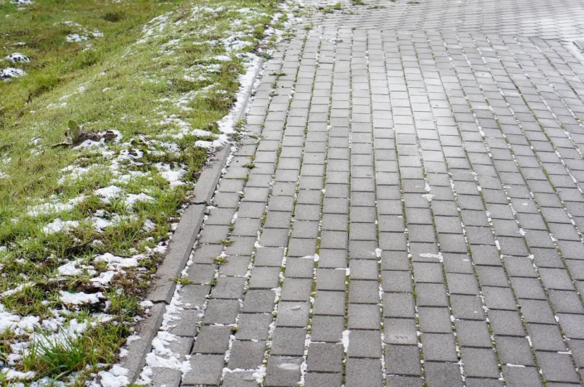 Śnieg na trawniku i kostce brukowej. Czekam na wiosnę i czyszczenie kostki brukowej sodą, by znów lśniła.