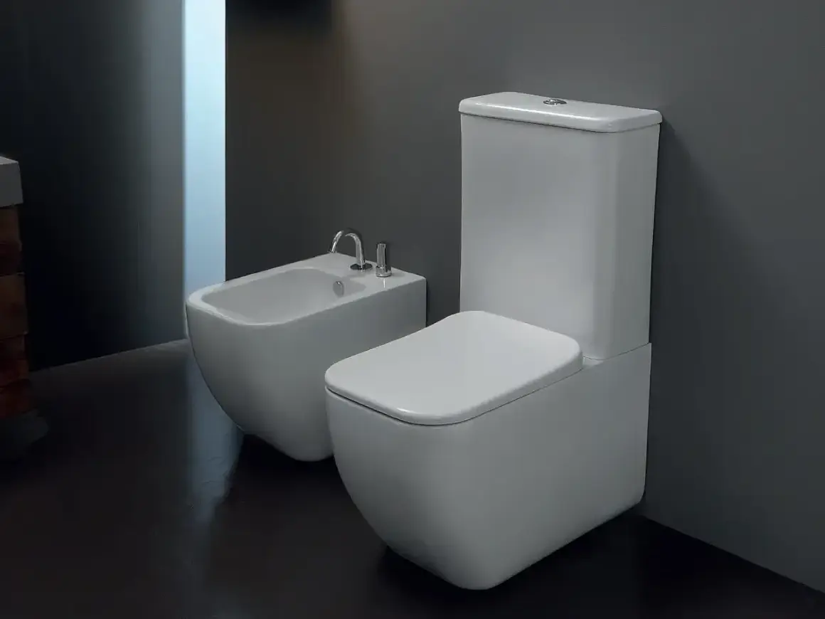 Nowoczesne rodzaje toalet: elegancka miska WC i bidet obok siebie.